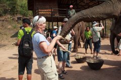 01-At Green Hill Valley Elephant Camp